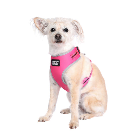 DOOG Neoflex Dog Harness Lady