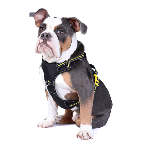 DOOG Neotech Dog Harness Bolt