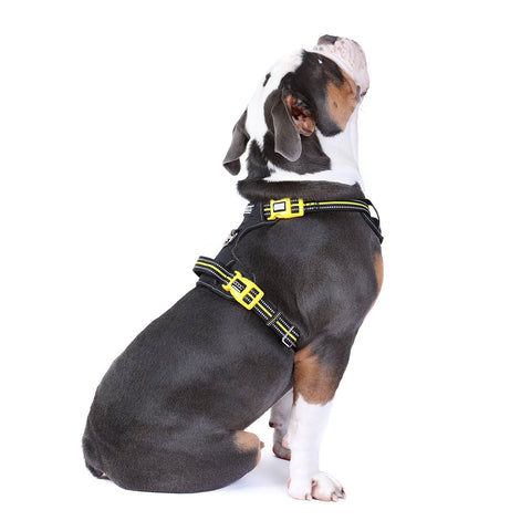 DOOG Neotech Dog Harness Bolt