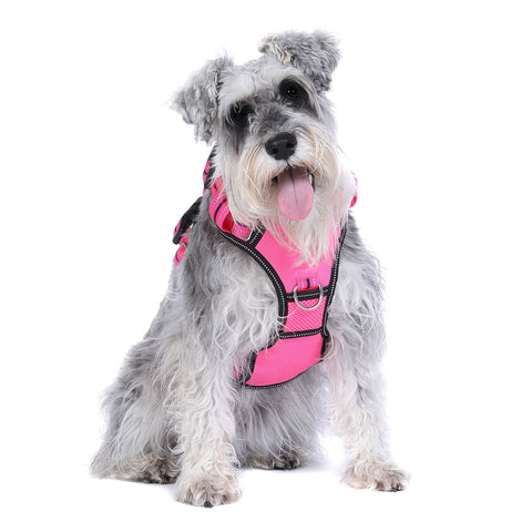 DOOG Neotech Dog Harness Lady