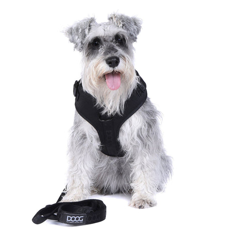 DOOG Neosport Dog Harness Black