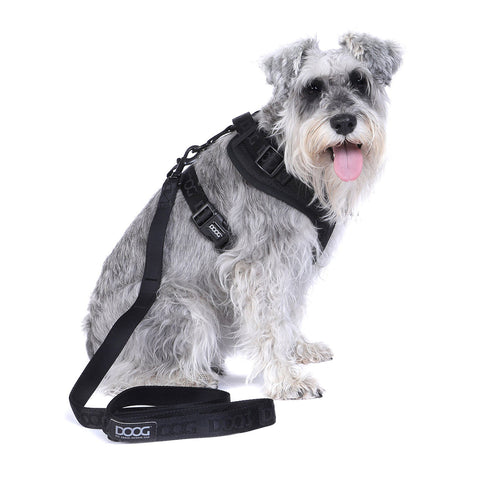 DOOG Neosport Dog Harness Black