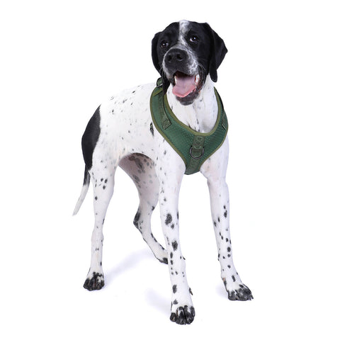 DOOG Neosport Dog Harness Green