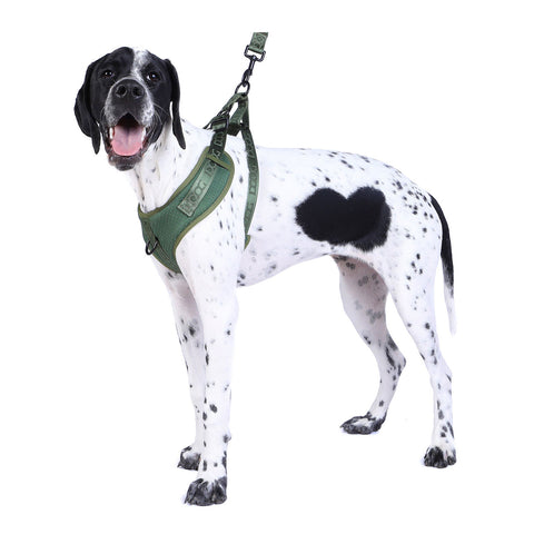 DOOG Neosport Dog Harness Green
