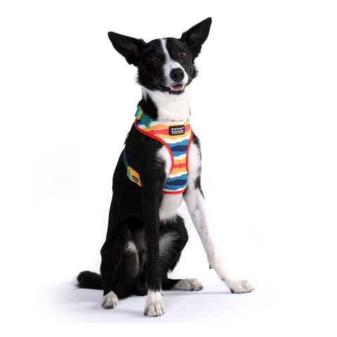 DOOG Neoflex Dog Harness Scout