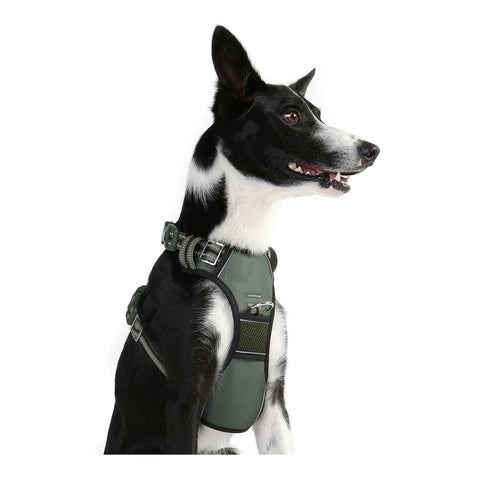 DOOG Neotech Dog Harness Green