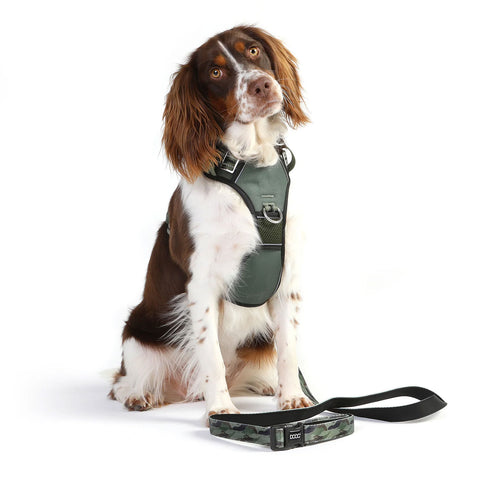 DOOG Neotech Dog Harness Green