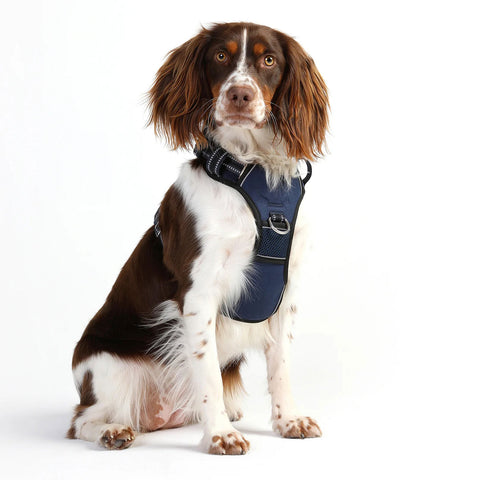 DOOG Neotech Dog Harness Navy