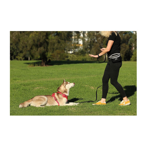 DOOG Treat Pouch Large
