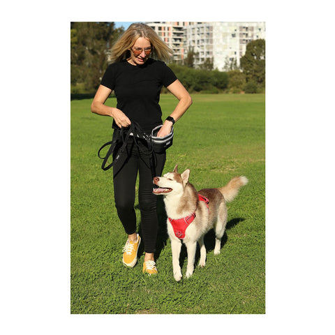 DOOG Treat Pouch Large
