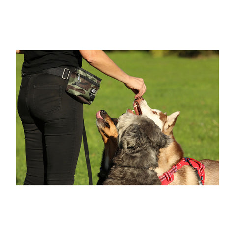 DOOG Treat Pouch Large
