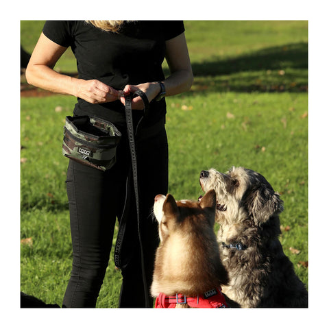 DOOG Treat Pouch Large