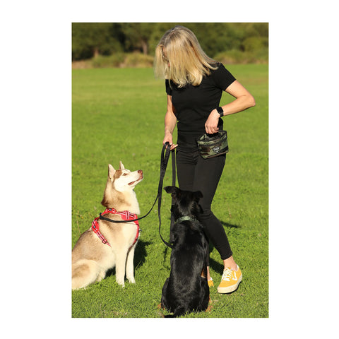DOOG Treat Pouch Large