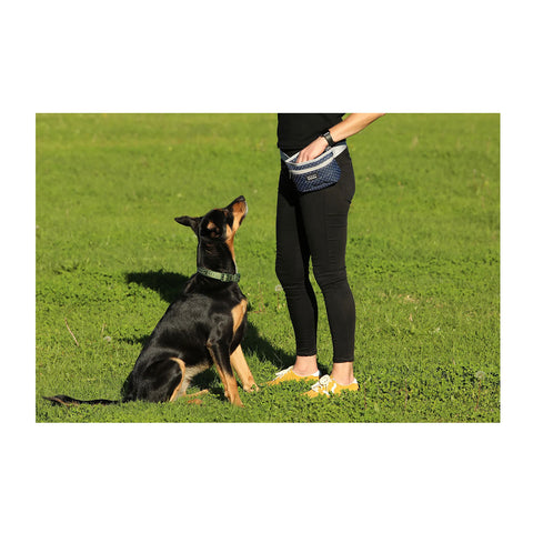 DOOG Treat Pouch Large