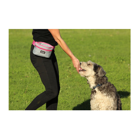DOOG Treat Pouch Large