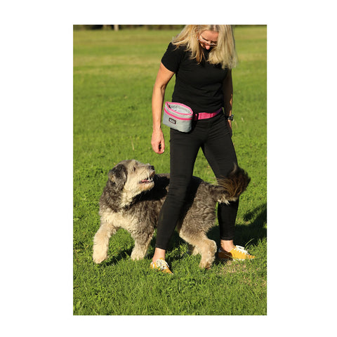 DOOG Treat Pouch Large