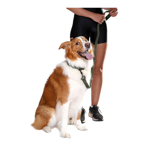 DOOG Neosport Dog Lead Green