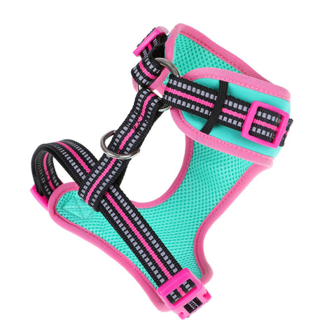 DOOG Neoflex Dog Harness Rin Tin Tin