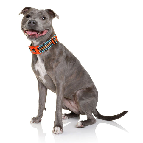 DOOG Neoprene Dog Collar Beethoven