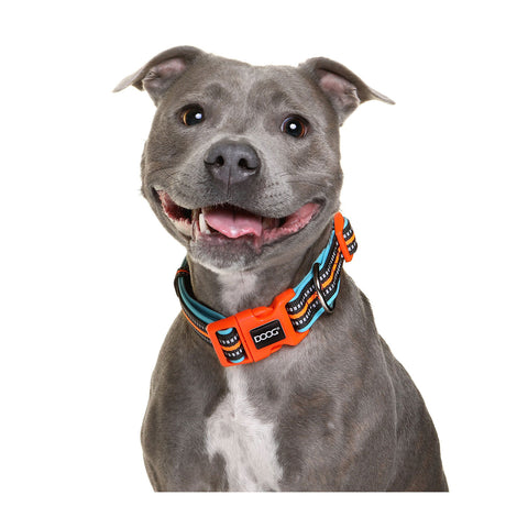 DOOG Neoprene Dog Collar Beethoven