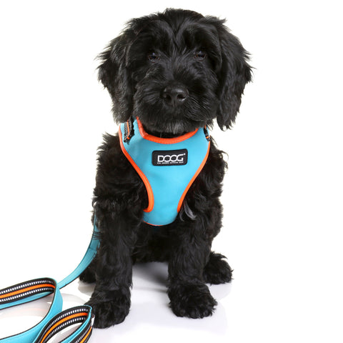 DOOG Neoflex Dog Harness Beethoven