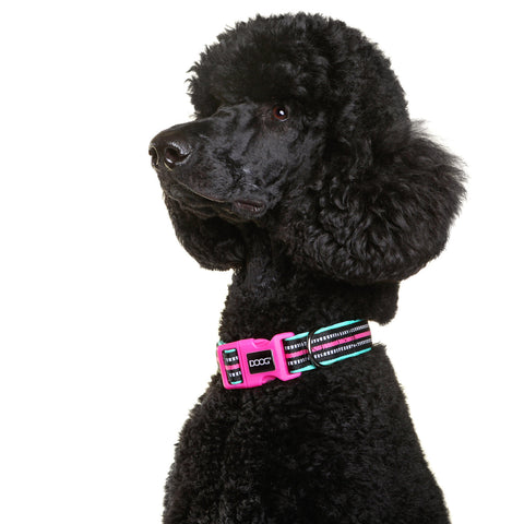 DOOG Neoprene Dog Collar Rin Tin Tin