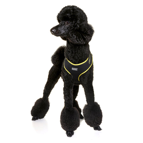 DOOG Neoflex Dog Harness Bolt