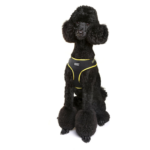 DOOG Neoflex Dog Harness Bolt