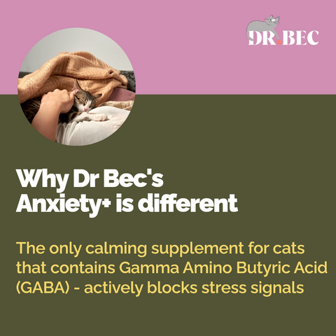 Dr Bec Anxiety + Health Support Veterinary Formulated Cat Supplement 60g