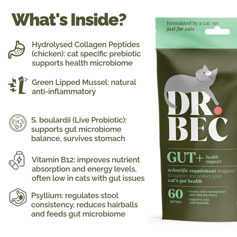 Dr Bec Gut + Health Support Veterinary Formulated Cat Supplement 70g