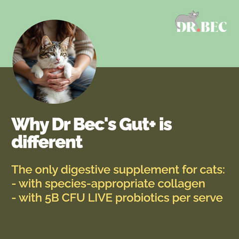 Dr Bec Gut + Health Support Veterinary Formulated Cat Supplement 70g