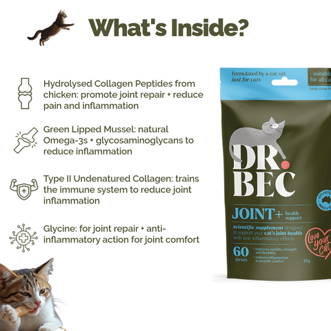 Dr Bec Joint + Health Support Veterinary Formulated Cat Supplement 65g