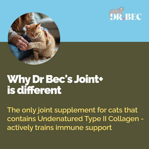 Dr Bec Joint + Health Support Veterinary Formulated Cat Supplement 65g