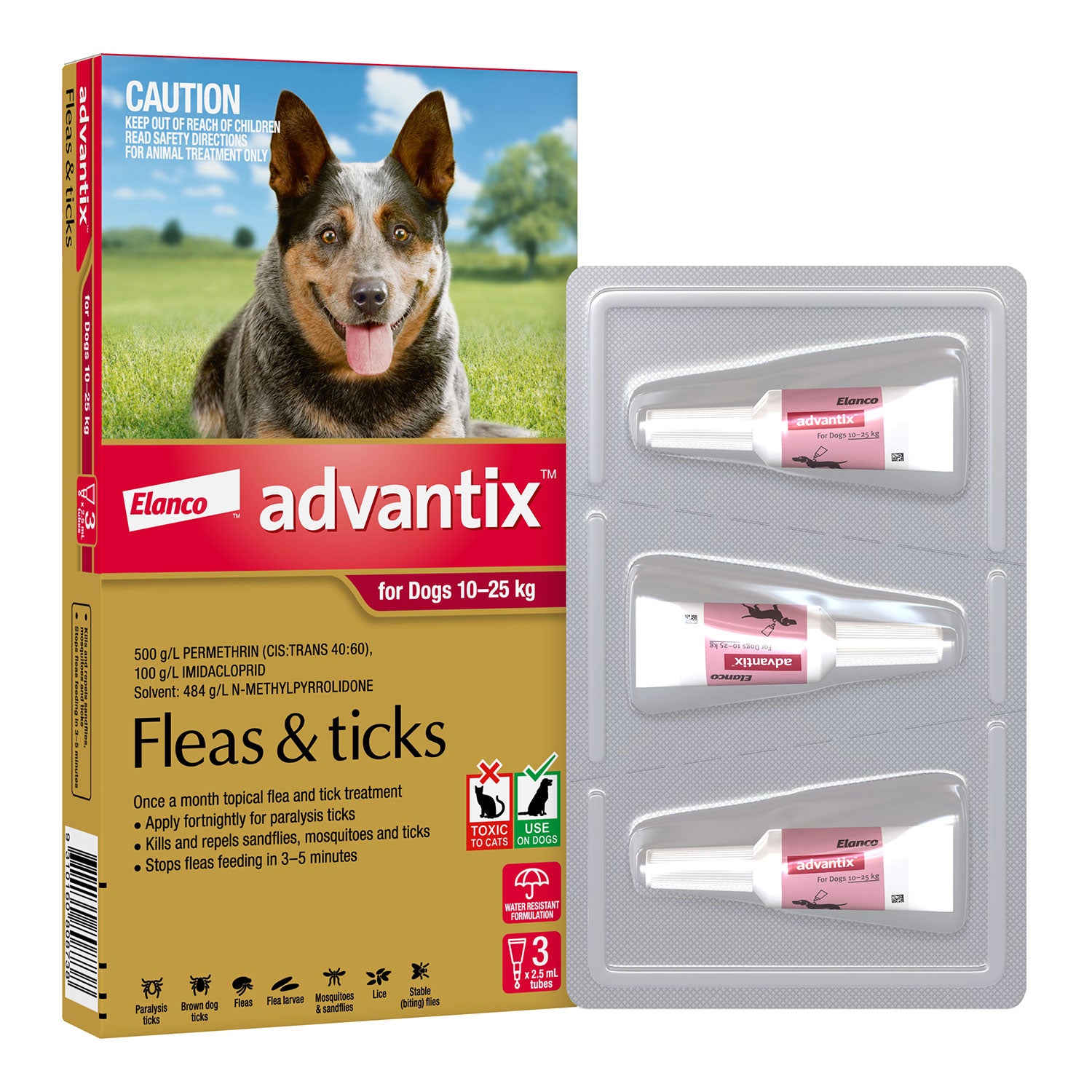Advantix Pet Flea And Tick Medication Advantix Flea Tick Treatment