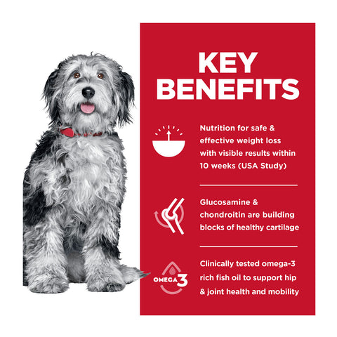 Hills Science Diet Perfect Weight & Joint Support Adult Dry Dog Food 11.3kg