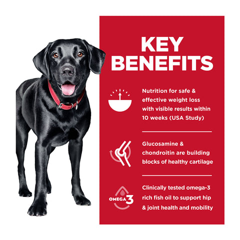 Hills Science Diet Large Breed Perfect Weight & Joint Support Adult Dry Dog Food 11.3kg