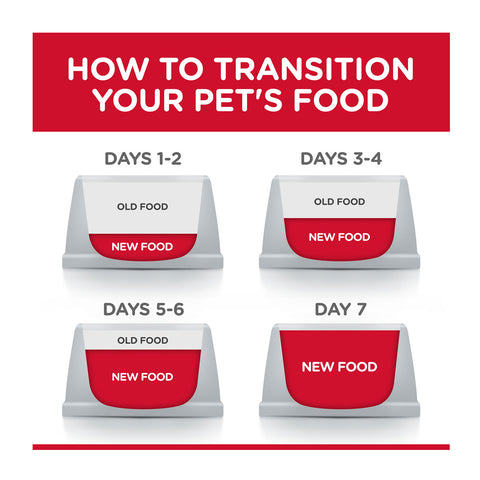Hill's Science Diet Turkey Adult Canned Dog Food