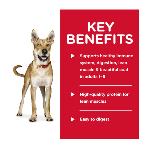 Hill's Science Diet Turkey Adult Canned Dog Food