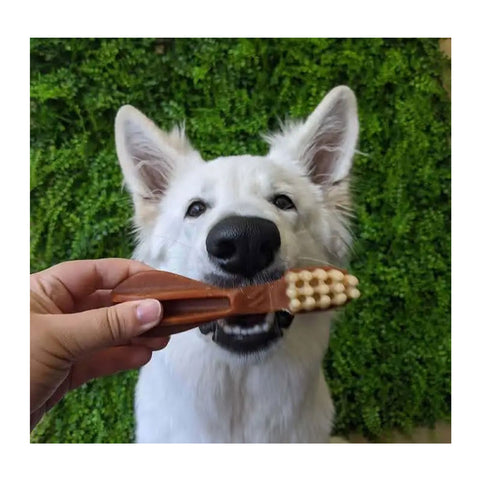 WHIMZEES Toothbrush Dental Dog Treats X-Small 48pk