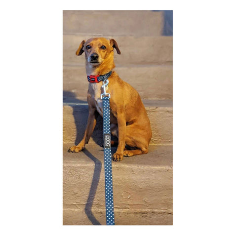 DOOG Neoprene Dog Lead Stella