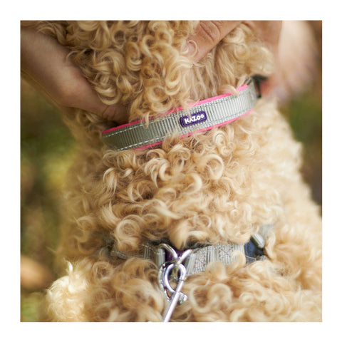 Kazoo Active Dog Lead Silver & Pink