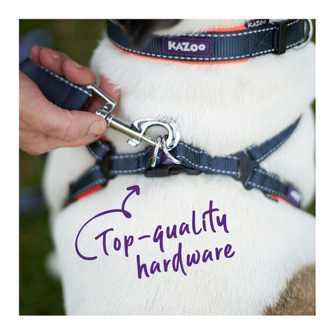 Kazoo Active Dog Lead Slate & Orange