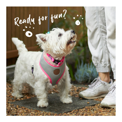 Kazoo Active Soft Walking Dog Harness Silver & Pink