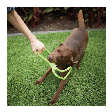 Kazoo Tug O War Rubber Assorted Dog Toy