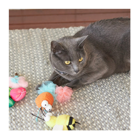 Kazoo Garden Treats with Silvervine Cat Toy 2pk