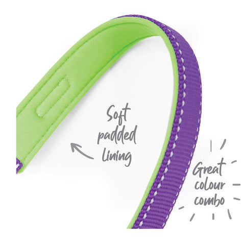 Kazoo Active Dog Lead Purple & Lime