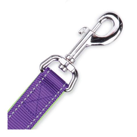 Kazoo Active Dog Lead Purple & Lime