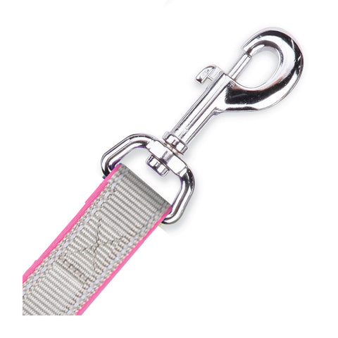 Kazoo Active Dog Lead Silver & Pink