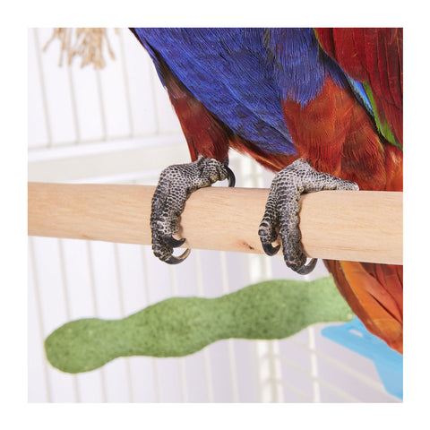 Kazoo Wooden Bird Perch