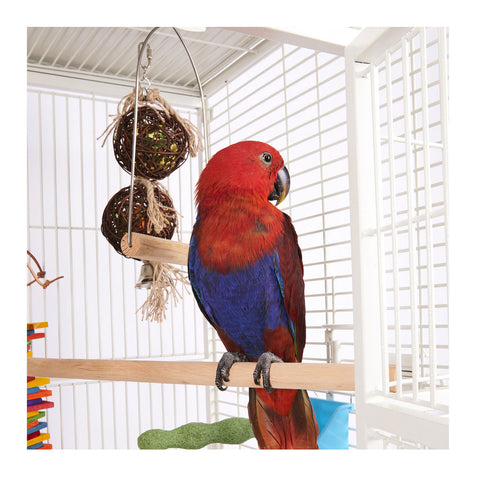 Kazoo Wooden D Swing Bird Toy Medium